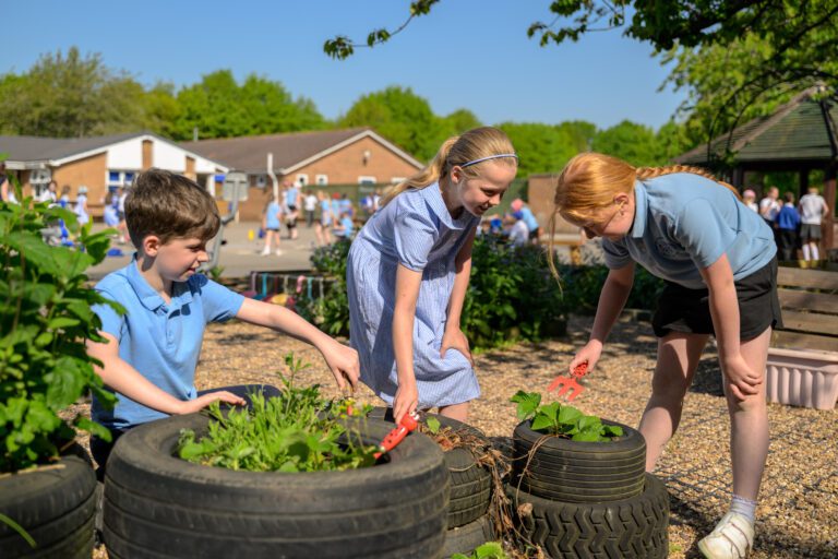 Spilsby Primary Academy-RHS Young Gardener Award